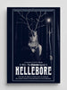 Hellebore #4: The Yuletide Special