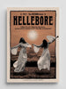 Hellebore #7: The Ritual Issue