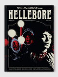 Hellebore #14: The Mirror Issue