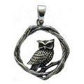 Owl & Branches