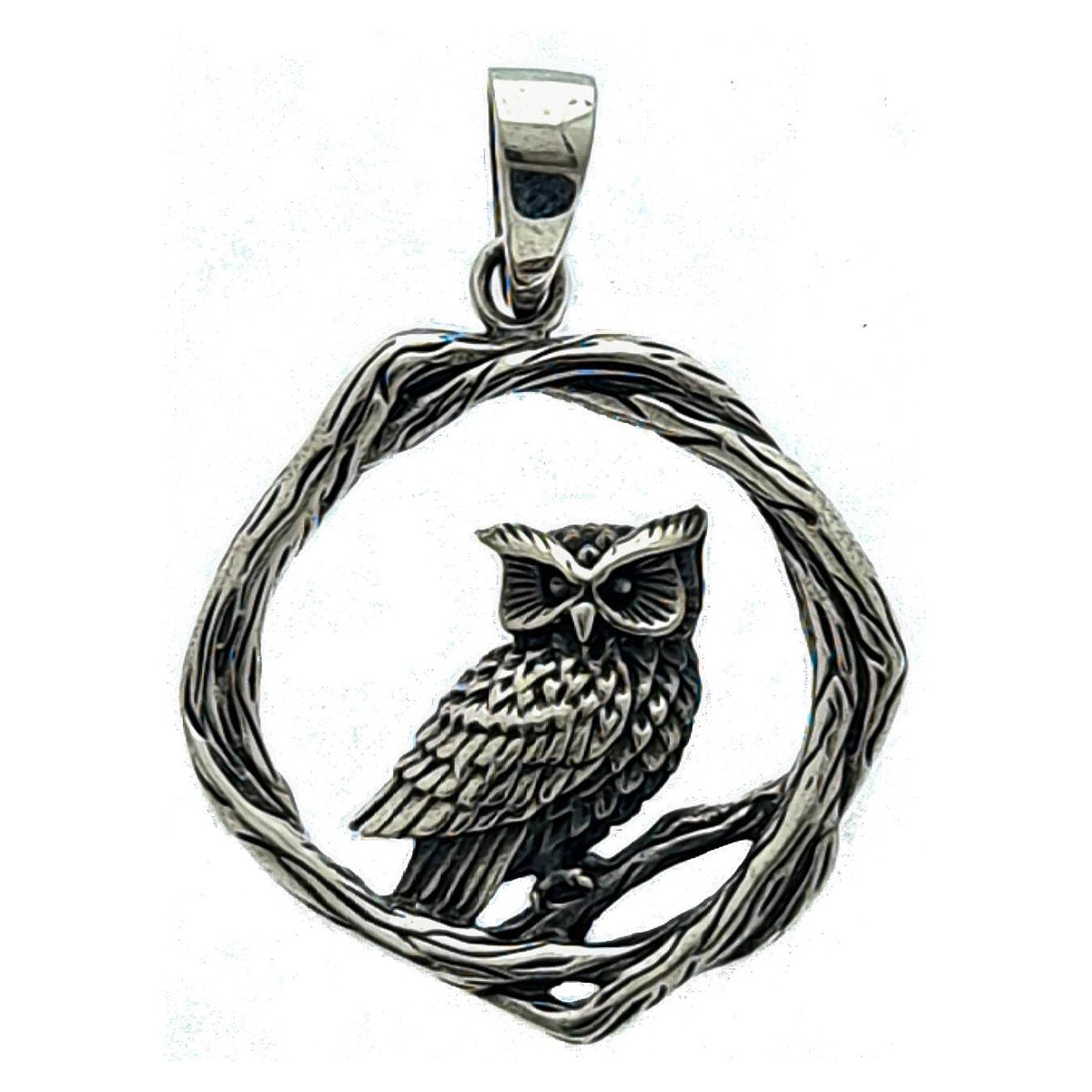 Owl & Branches