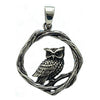 Owl & Branches