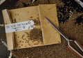 Poison Garden Seeds