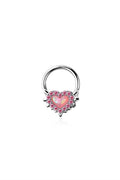 Heart Septum