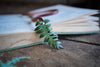 Bookmarks
