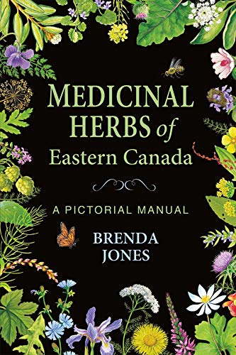 MEDICINAL HERBS of Eastern Canada (USED)