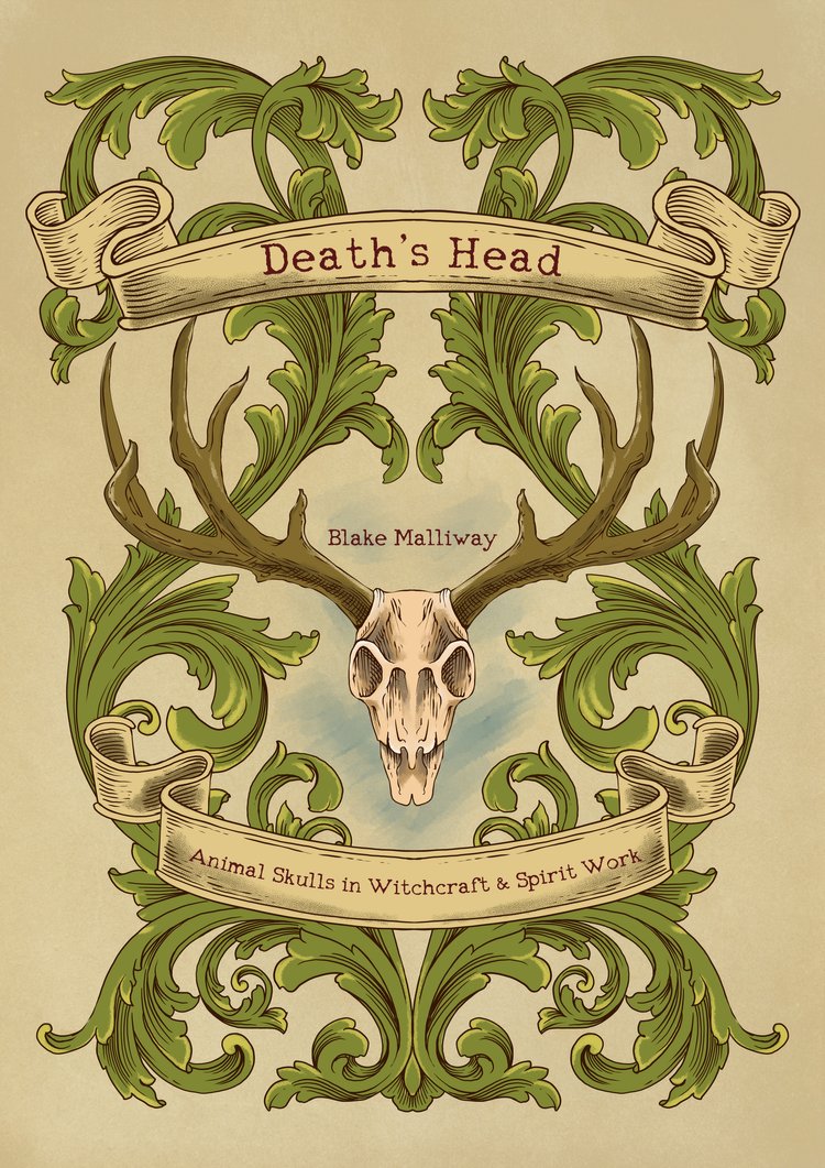 Death's Head; Animal Skulls in Witchcraft & Spirit Work