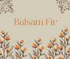 Balsam Fir Hydrosol 4oz.