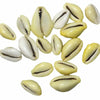 Cowrie Shells