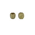 Eve and Eve Root