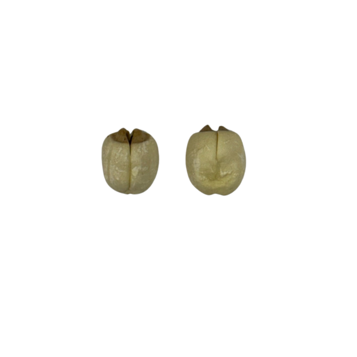 Eve and Eve Root