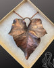 Copper Enchanted Ivy