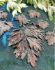 Copper Mugwort Lg