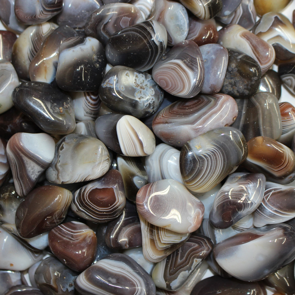 Gray Botswana Agate