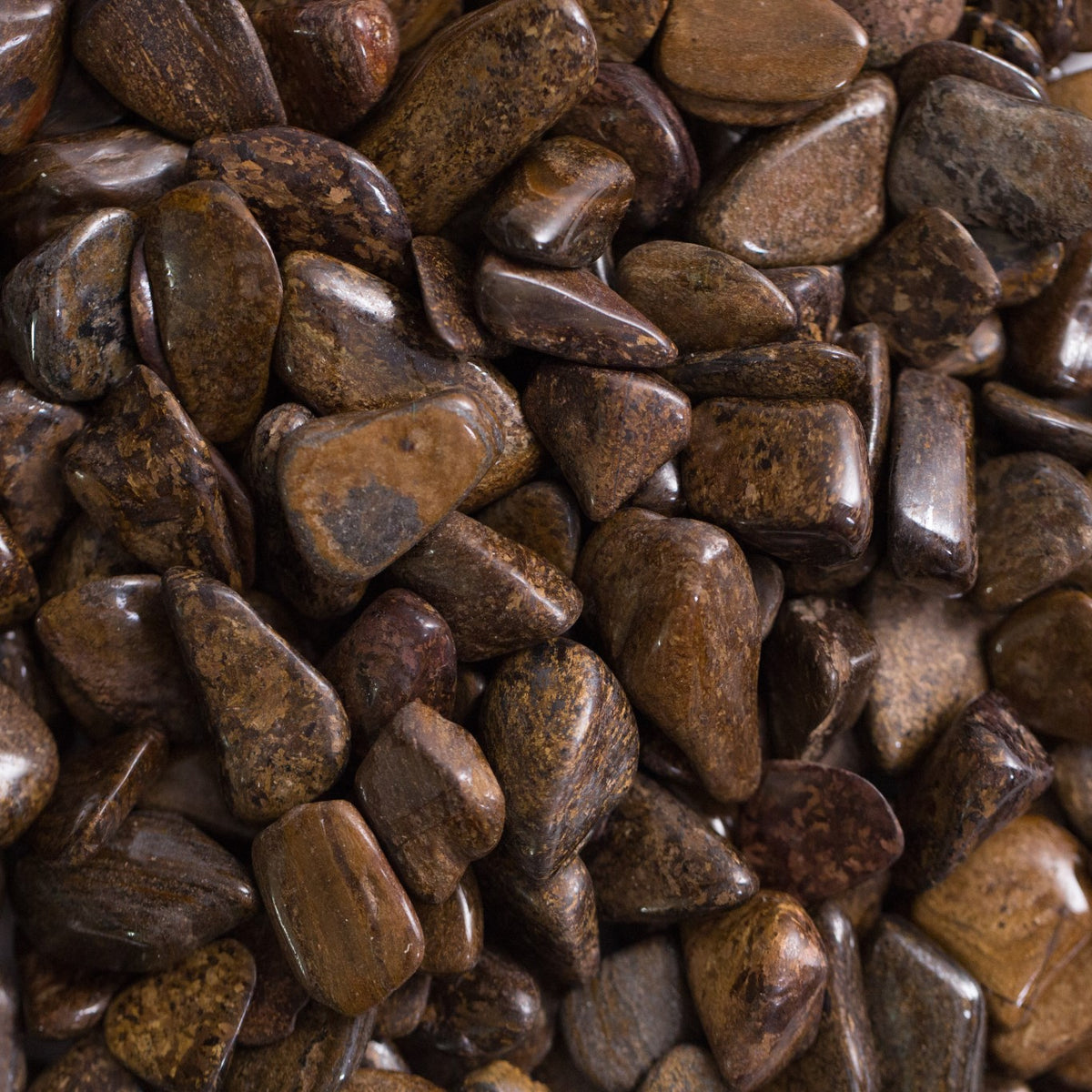 Bronzite