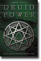 Druid Power: Celtic Faerie Craft and Elemental Magic
