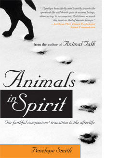 Animals in Spirit