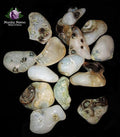 Green Eye Agate