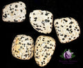 Dalmation Stone
