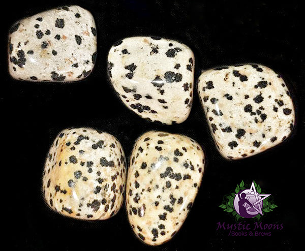 Dalmation Stone
