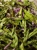 Echinacea 1/4 oz