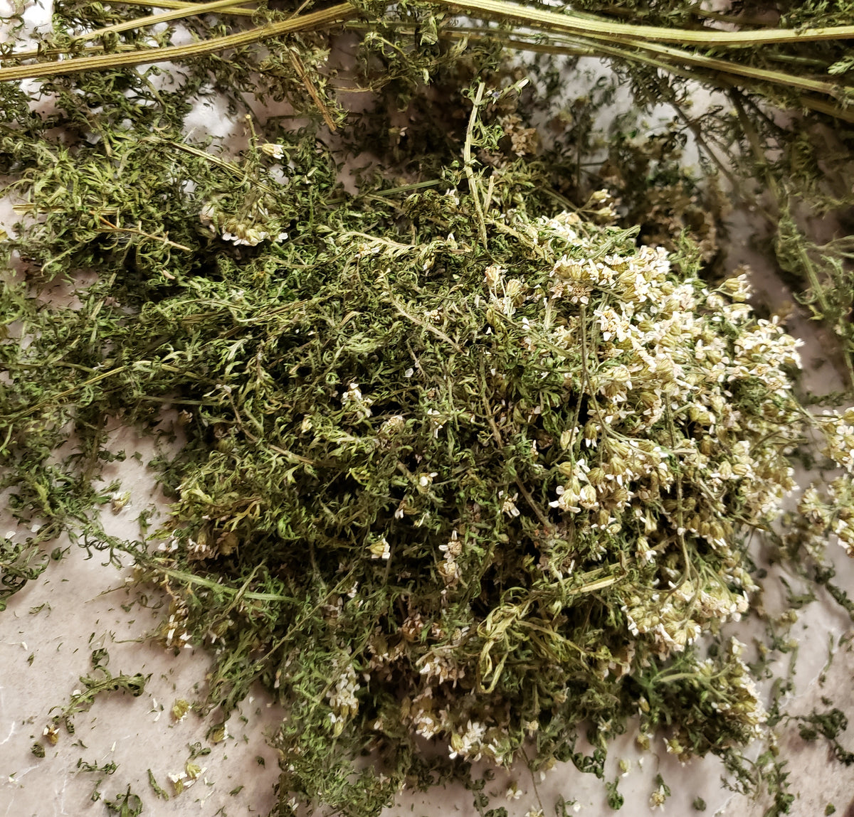 Local Yarrow 1/2 oz.