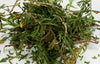 Cedarwood and Leaves