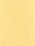 Light Parchment Paper