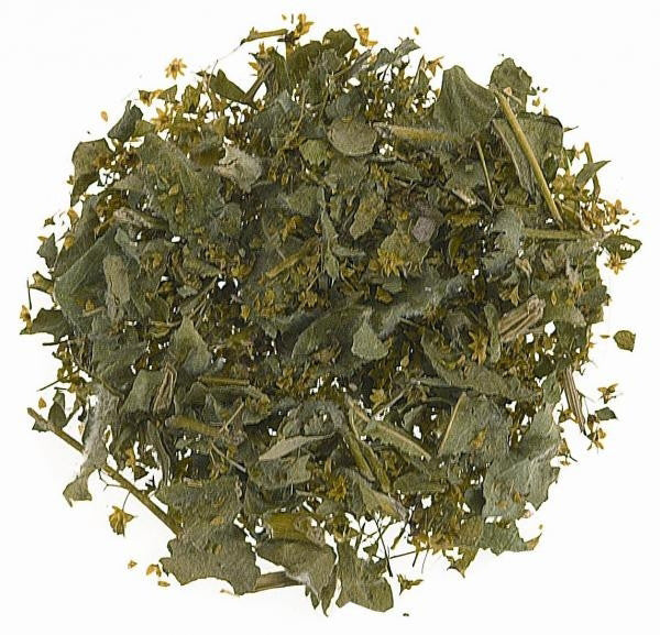 Lady's Mantle 1oz.