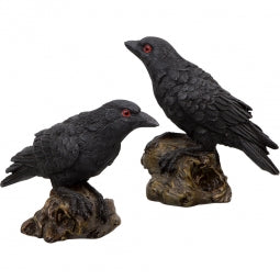 Raven/Crow Statue