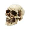 Plain Skull sm