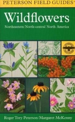 Field Guide to Wildflowers