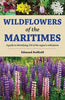 Wildflowers of the Maritimes