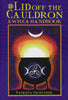 Lid Off The Cauldron; A Wiccan Handbook