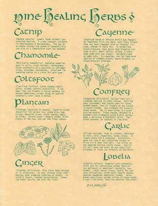 9 Healing Herbs