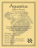 Aquarius Zodiac