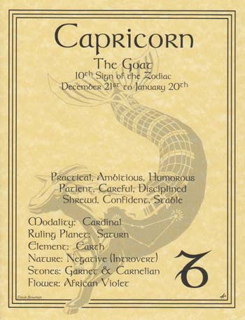 Capricorn Zodiac