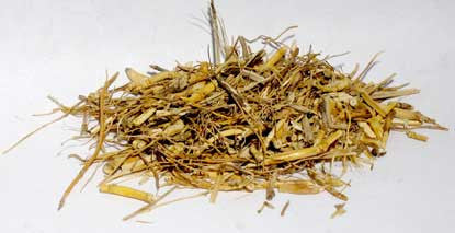 Witches Grass 1 oz.