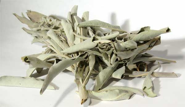 White Sage 1oz.