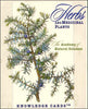 Herbs and Medicinal Plants Knowledge Cards