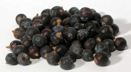 Juniper Berries 1oz.