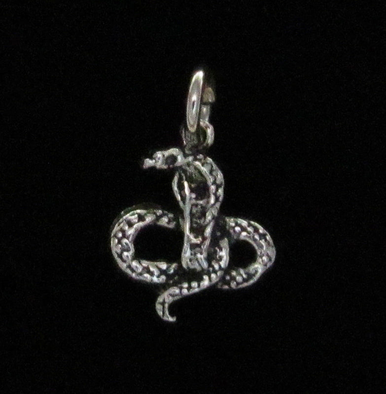 Snake Pendant (small)