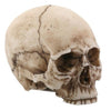 Mini Skull