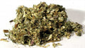 Mugwort 1oz.