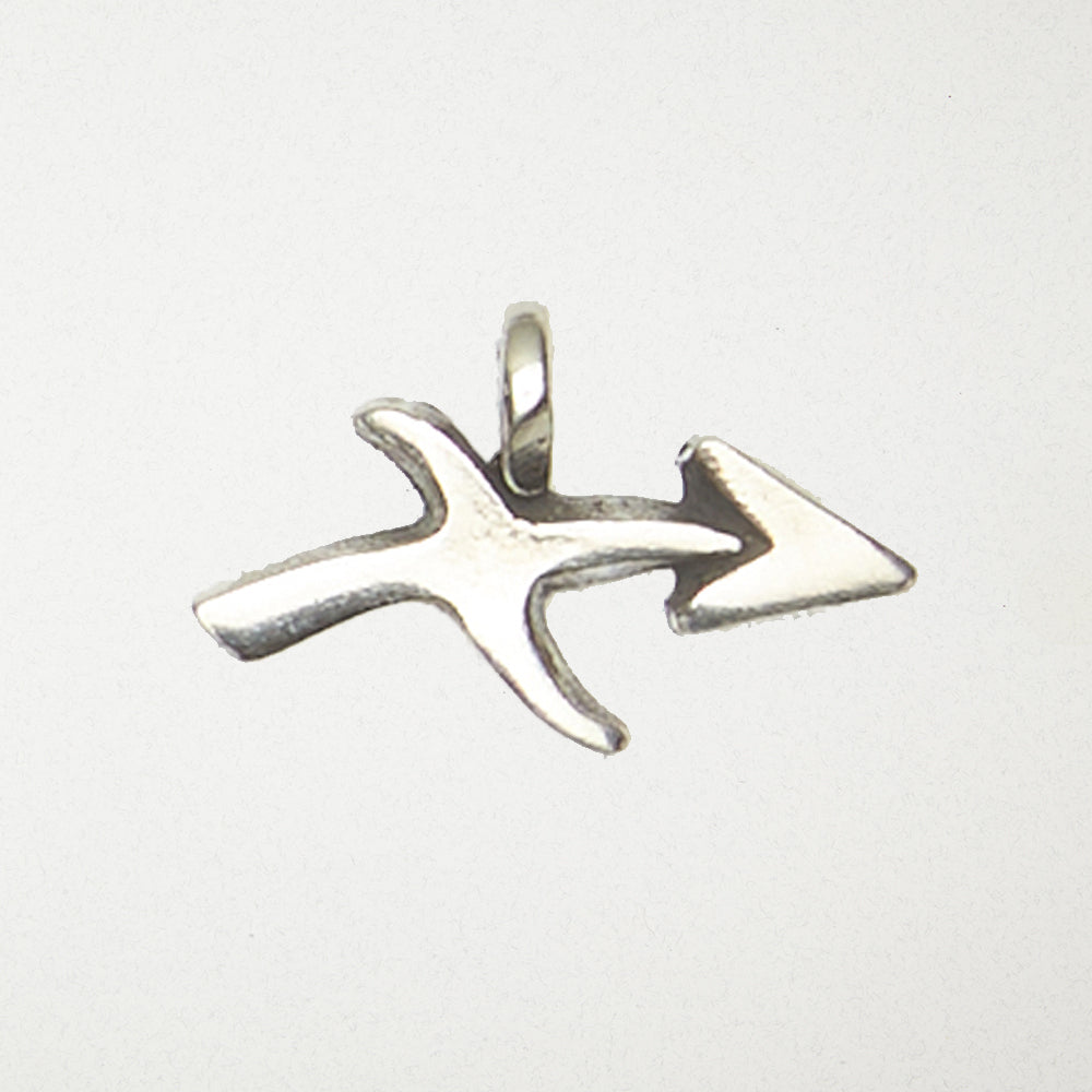 Zodiac Talisman sm