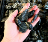 Black Obsidian Rough M