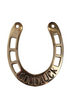 Good Luck Horseshoe