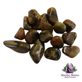 Bumble Bee Jasper
