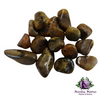 Bumble Bee Jasper