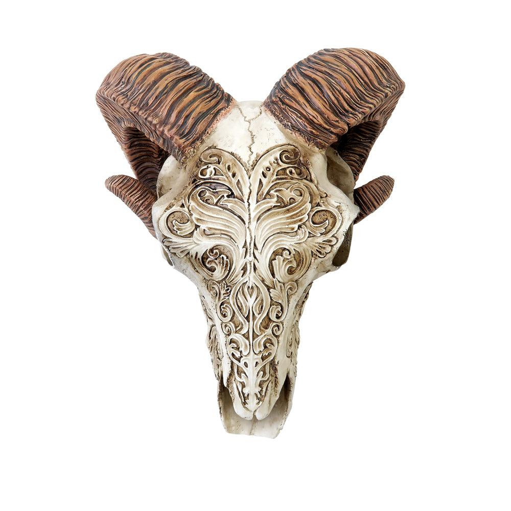 Ram Skull